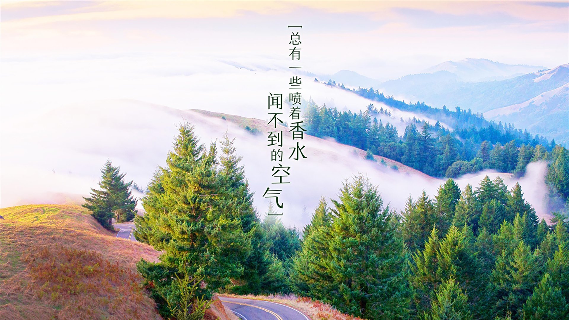 开云官方网页登录-“青春奋起”青少年篮球公益主题电影在全国热映，弘扬拼搏精神