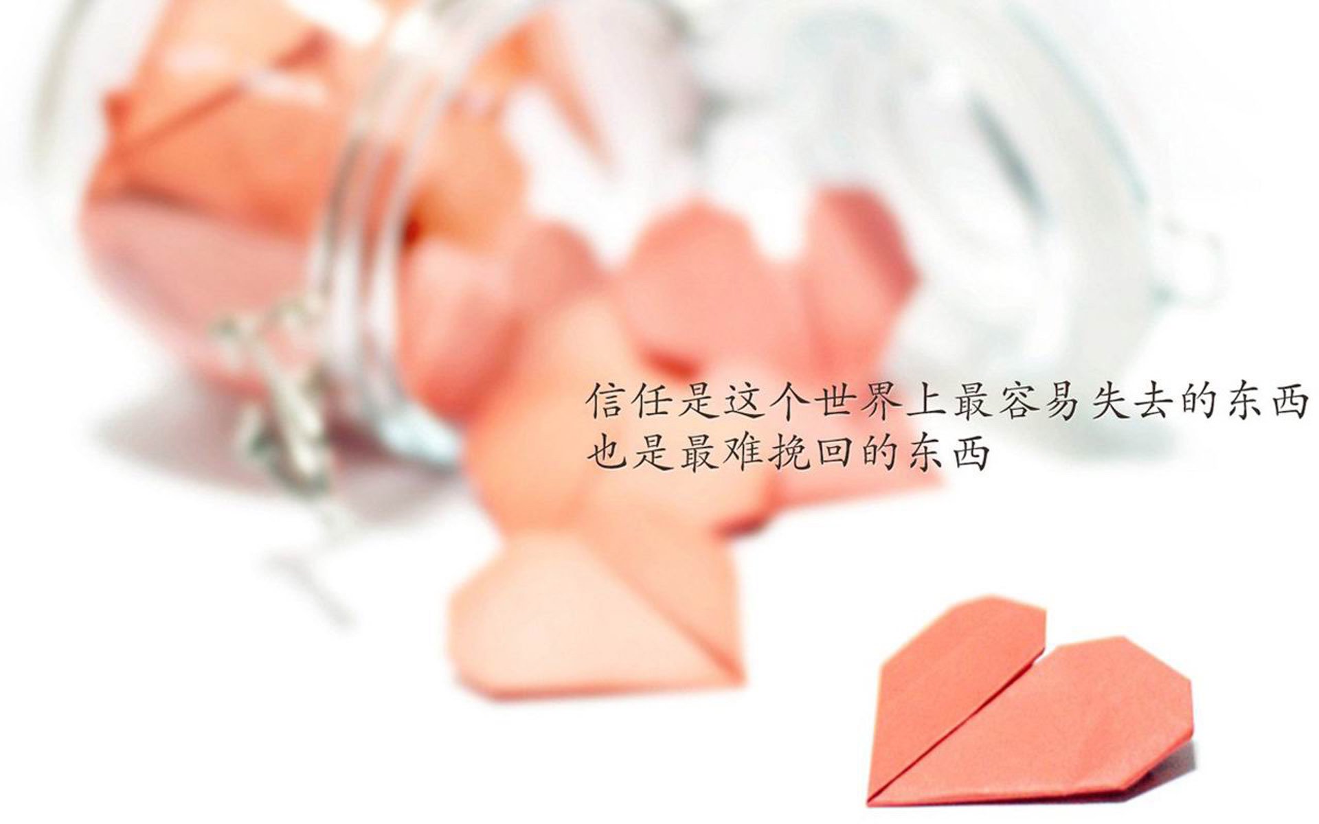 赛事背后：车队研发团队的幕后秘密，赛车车队人员