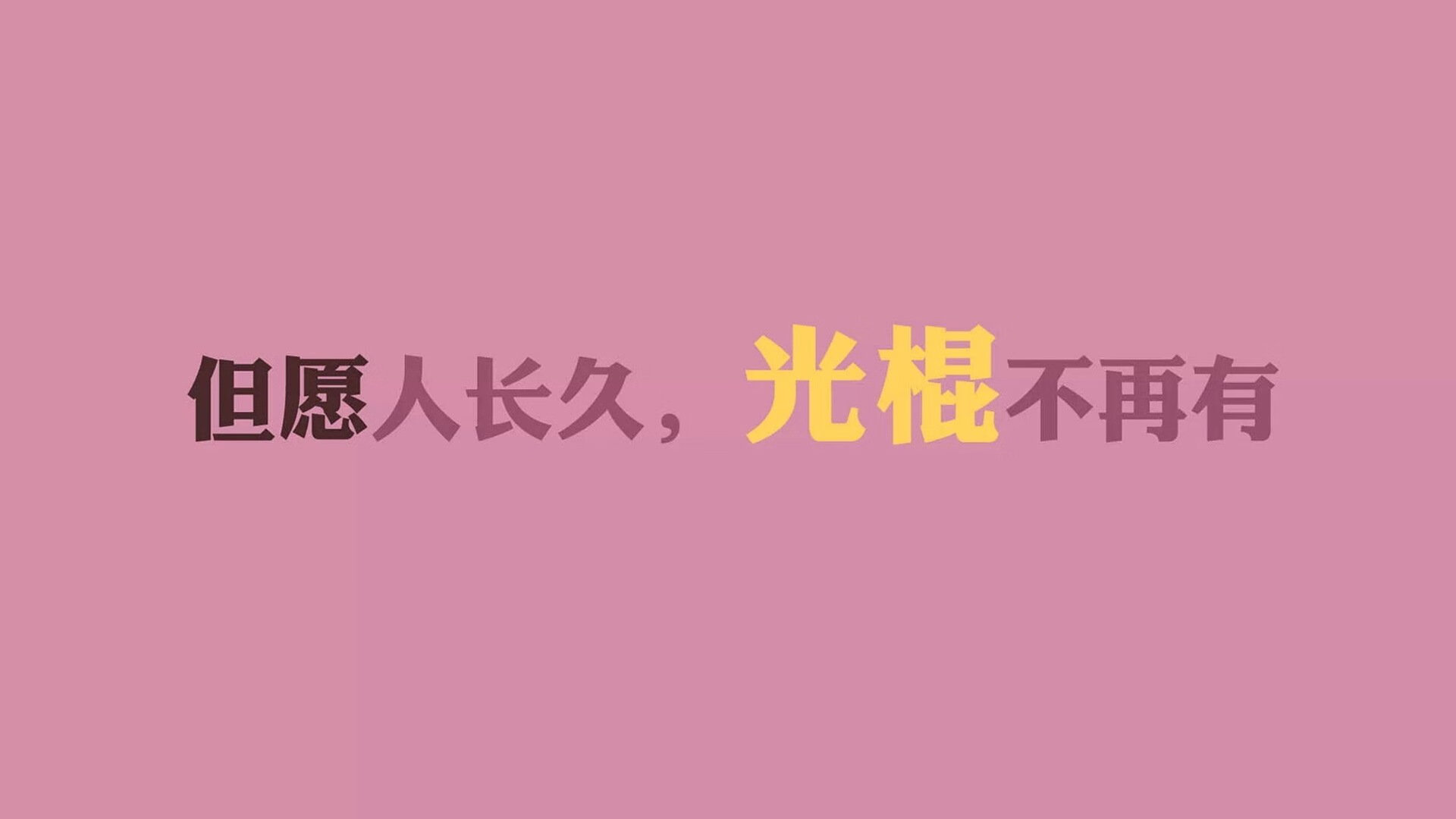 沃尔夫斯堡球员奋力拼搏，最终夺得关键胜利，沃尔夫斯堡夺冠主力阵容