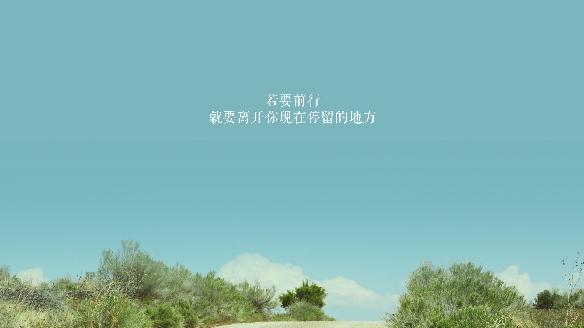 kaiyun.com-莱斯特城新援表现出色，提升球队实力，莱斯特城30年老球迷