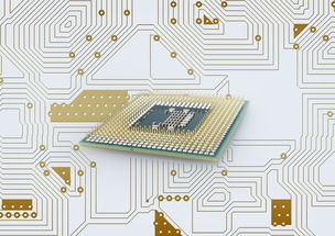 开云体育APP下载-中国篮球联赛品牌建设策略与粉丝经济发展路径研究，篮球品牌市场占有率