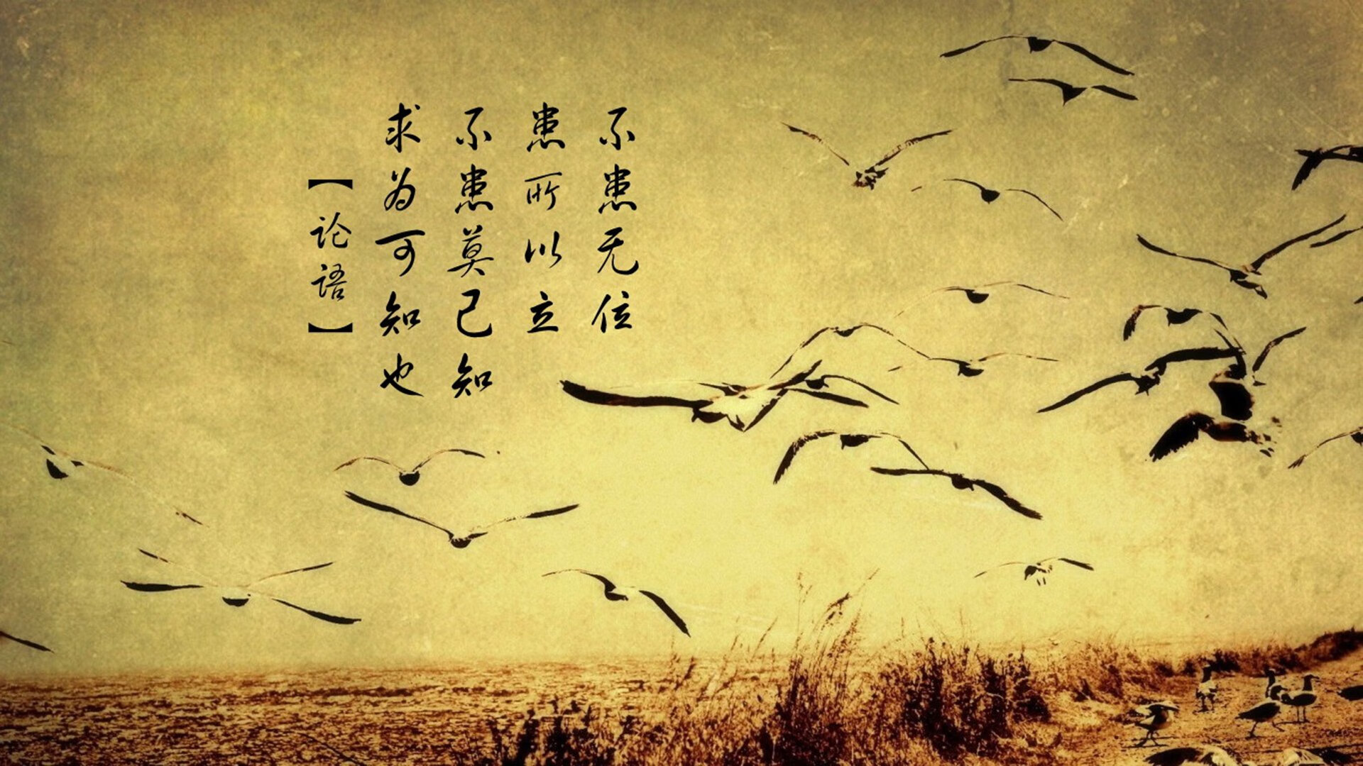 德甲球员心率变异性监测指导个体化训练调整，心率变异性分析软件中文版