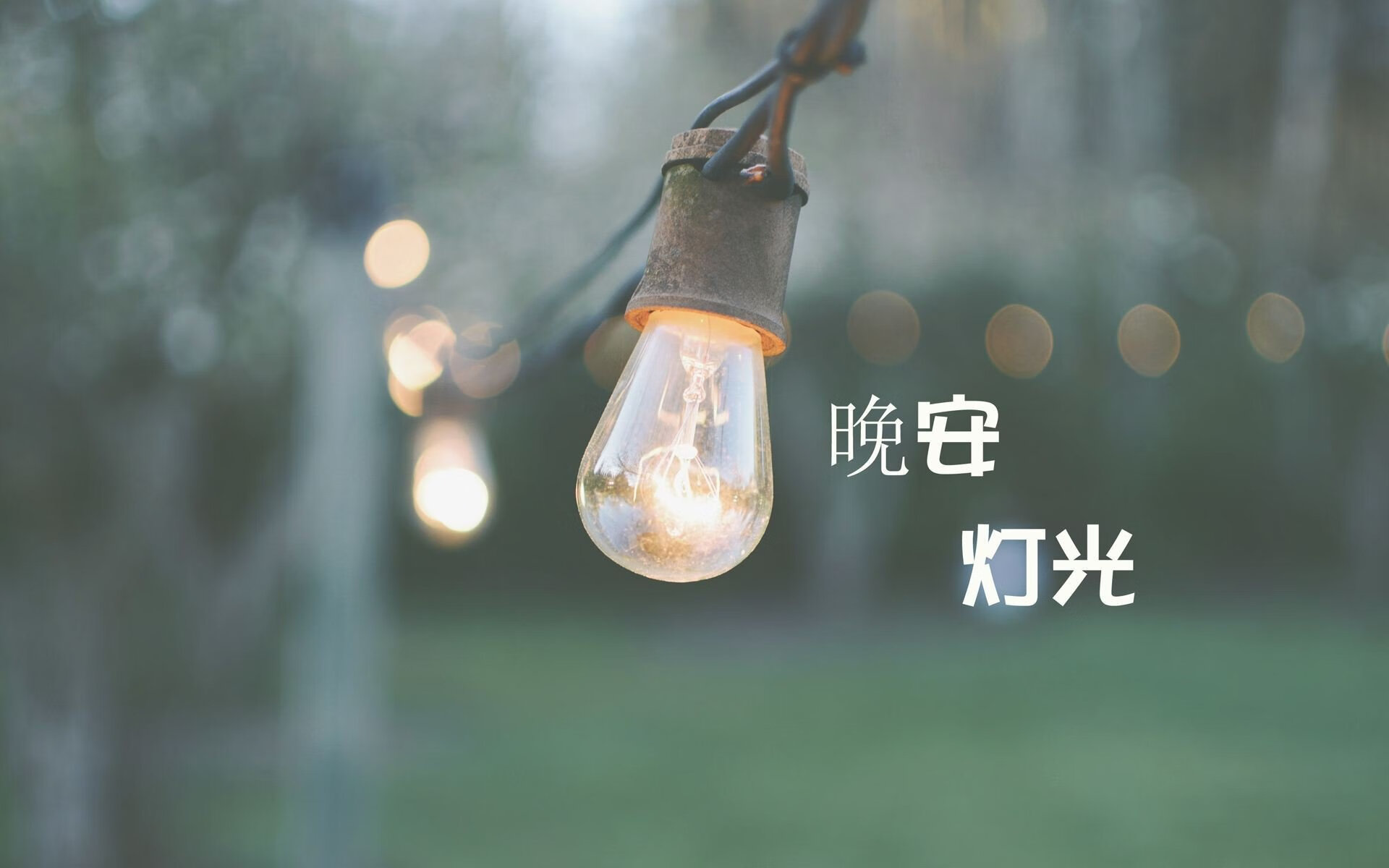 东亚杯中国女足夺冠 球迷激情四射，中国女足东亚杯首胜