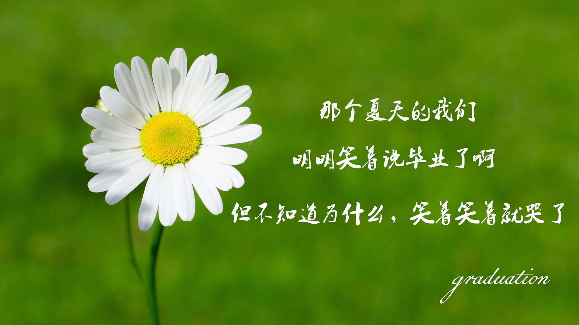 开云入口-基层青训基地缺少教练轮岗制度，基层青训基地缺少教练轮岗制度的原因