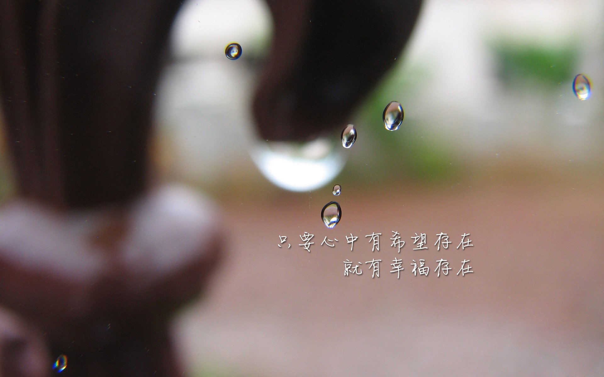 体育教师能力认证制度在试点城市启动,体育教师资格证认定条件