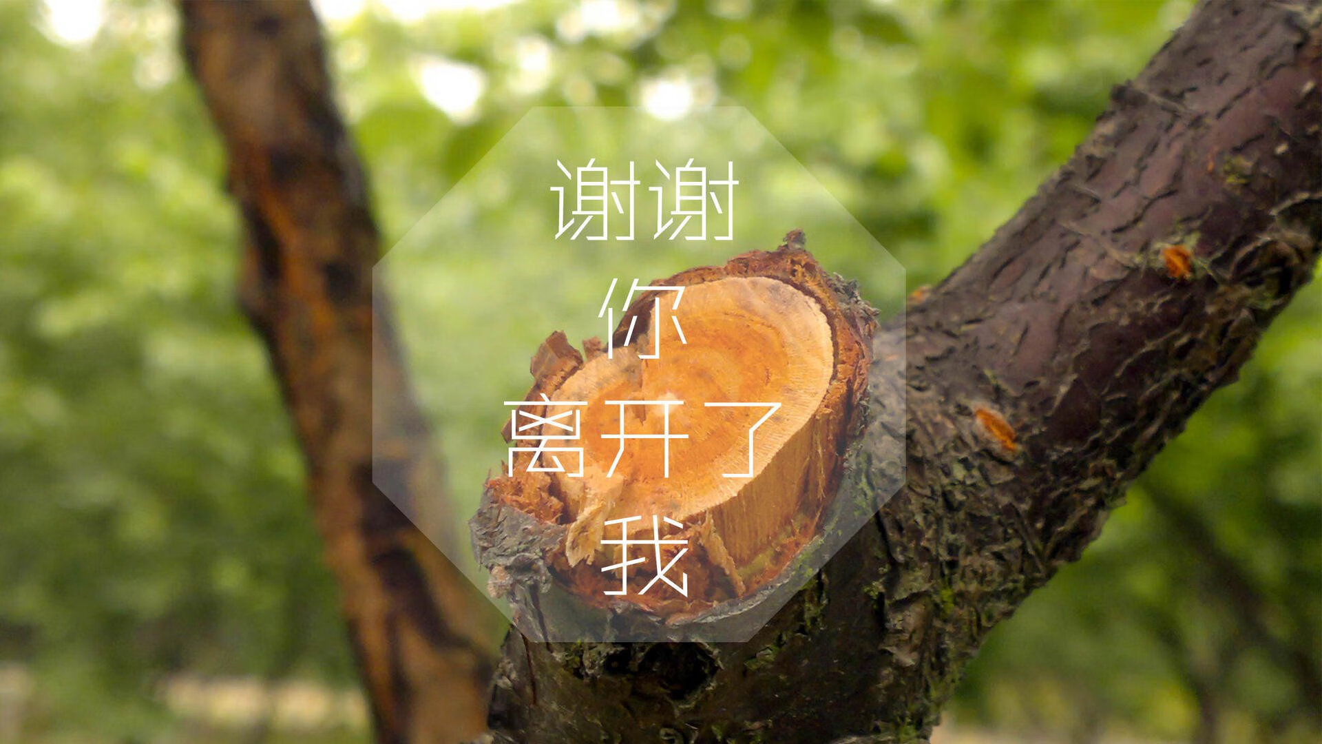意甲激战连连:攻守精彩纷呈!,意甲战况